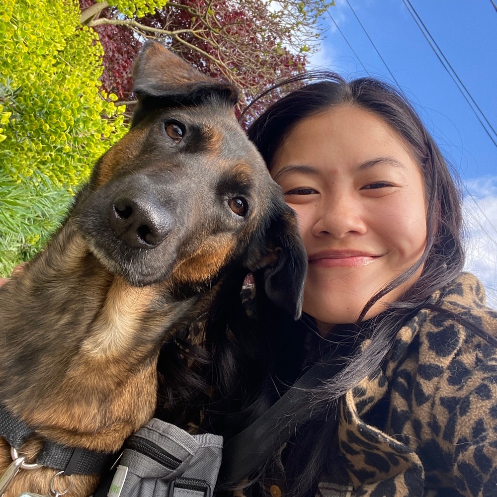 Meet your Posher, Joelle